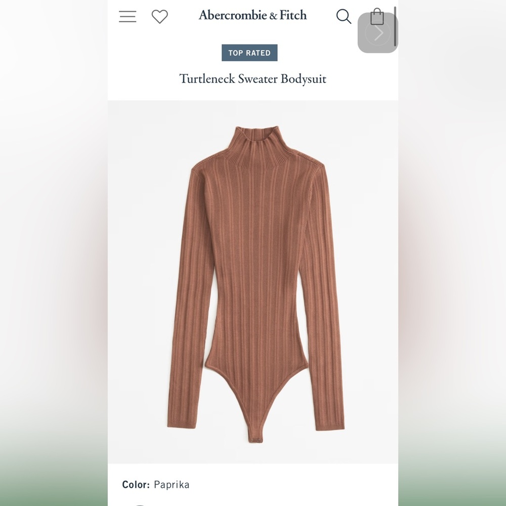 Abercrombie & Fitch Turtleneck Sweater Bodysuit